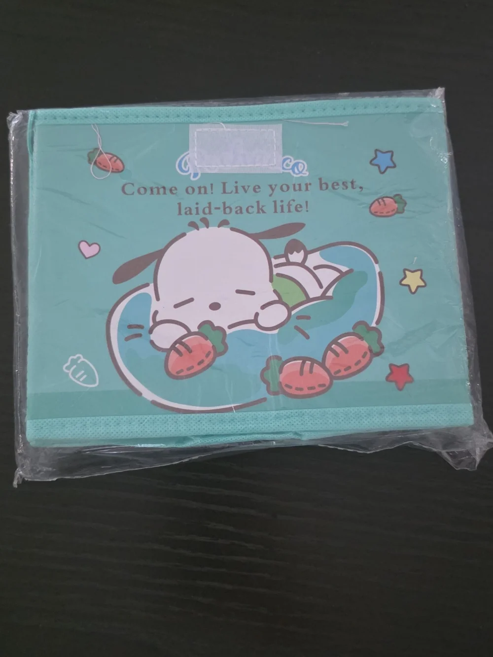Sanrio Poccacho Storage Container